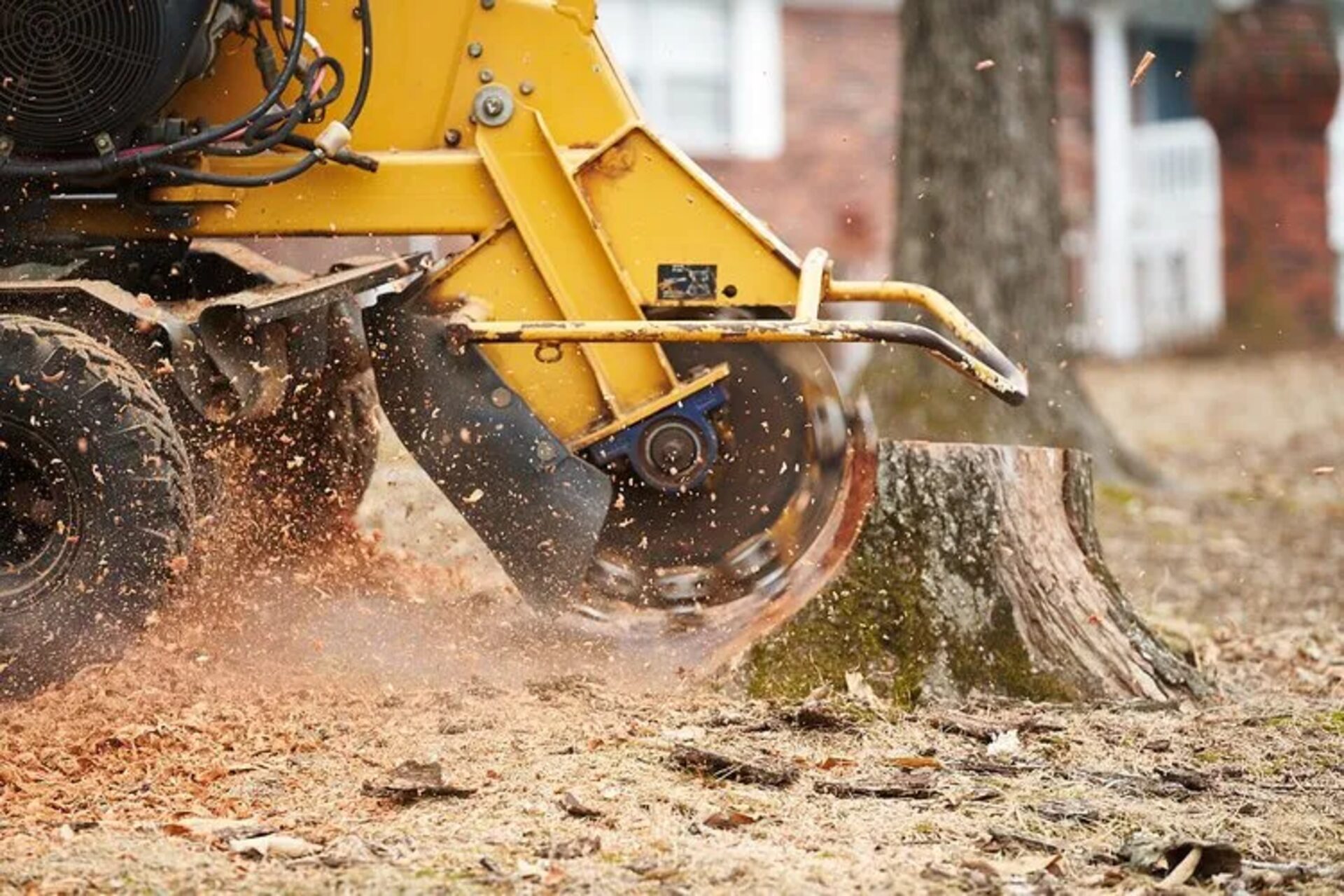 Stump grinder cutting a tree stump below grade in a Western Wisconsin yard