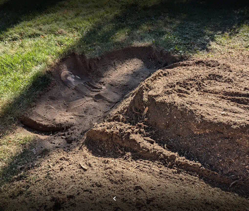 service stump grinding work